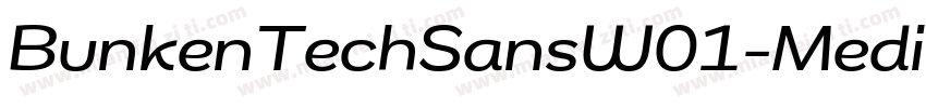 BunkenTechSansW01-Medium Regular字体转换